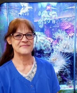 Pet groomer in blue shirt with fish tank Pet groomer in blue shirt with fish tank