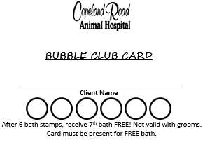 Bubble Club Card Website2