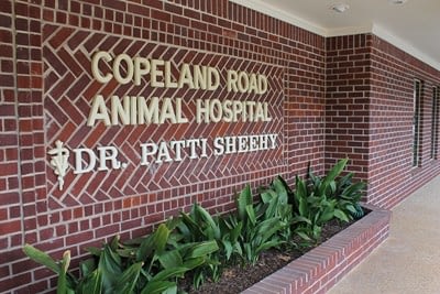 Copeland Road Animal Hospital in Tyler