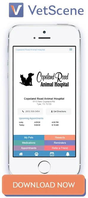 Home - Copeland Road Animal Hospital in Tyler