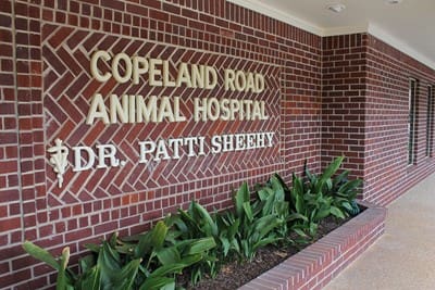 Home - Copeland Road Animal Hospital in Tyler