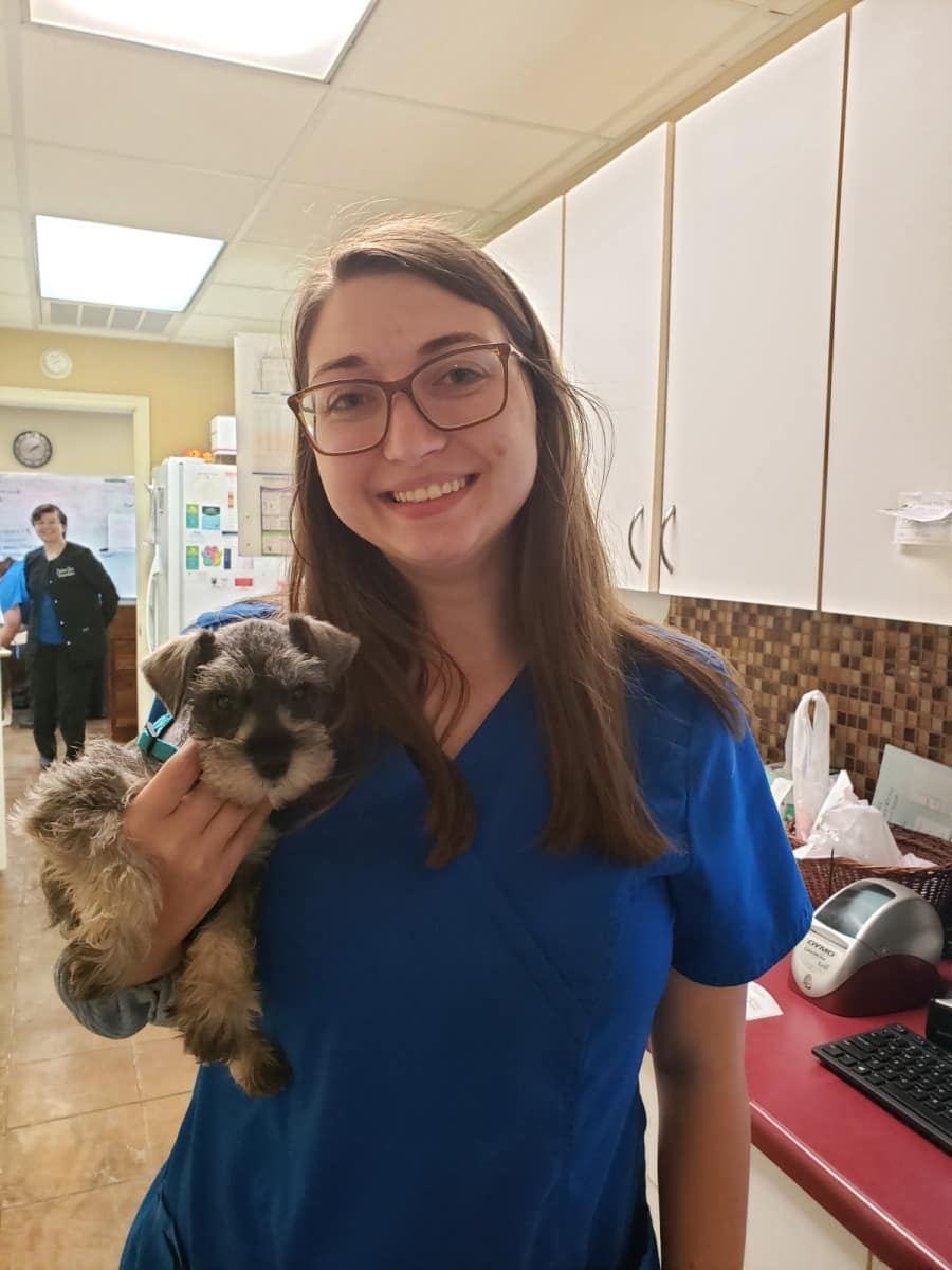 Pet Gallery Copeland Road Animal Hospital